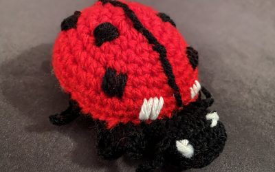 Freude über unseren Jahresrückblick 2019